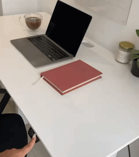 Gaby Méndez x Euclid Furniture