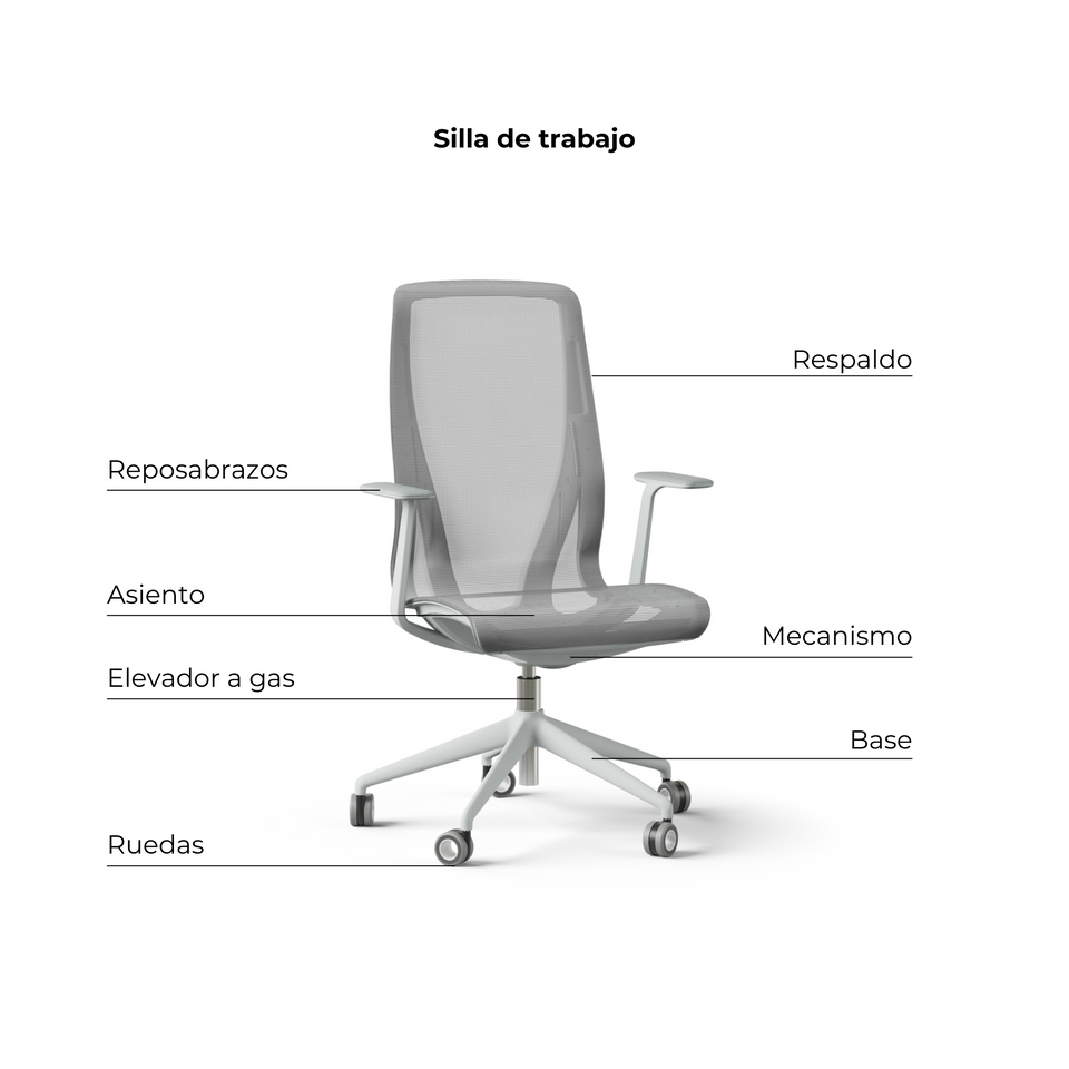 Silla D-Chair Task