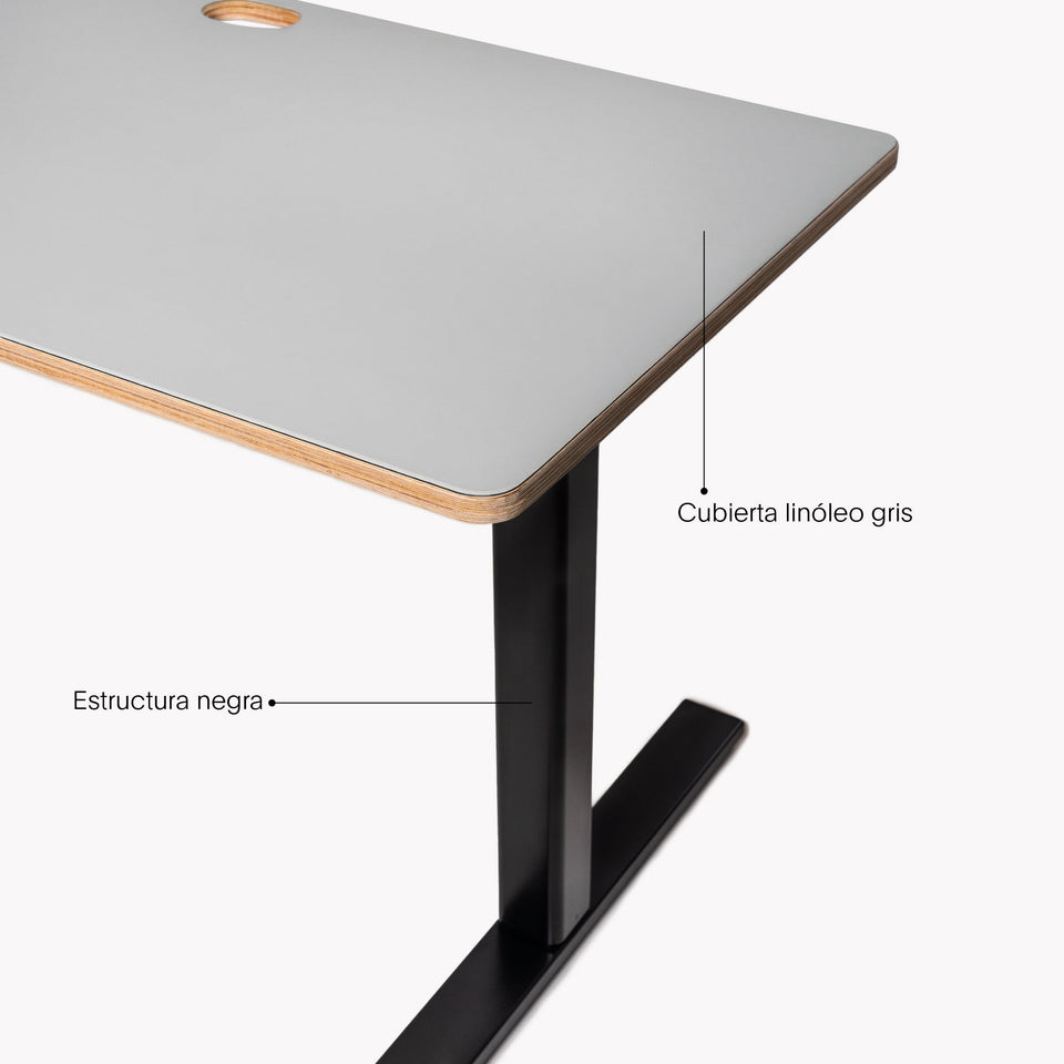 Escritorio elevable DSK-F1