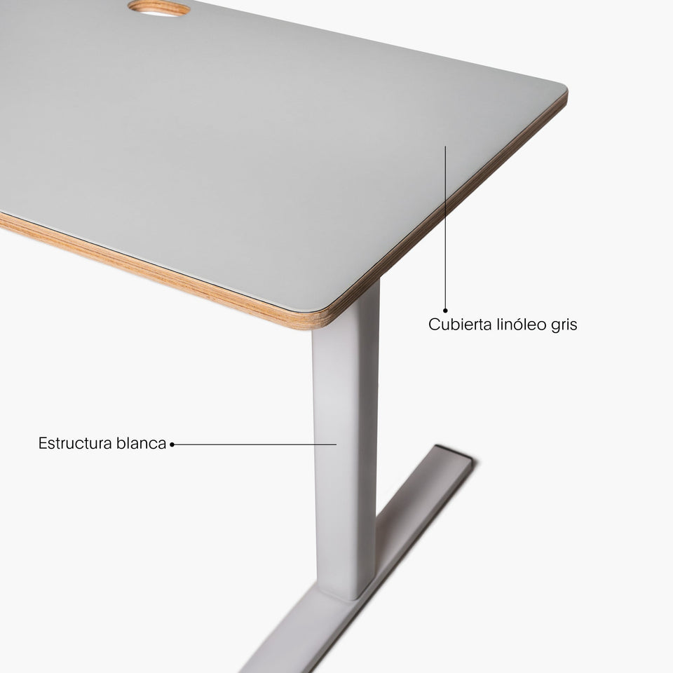 Escritorio elevable DSK-F1