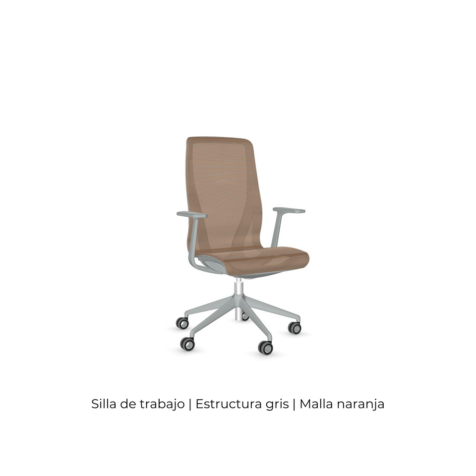 Silla D-Chair Task