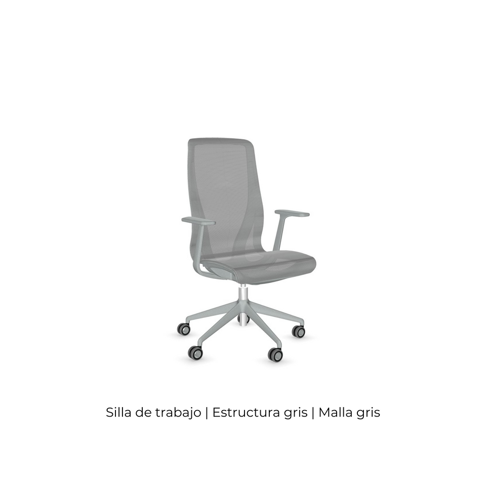 Silla D-Chair Task